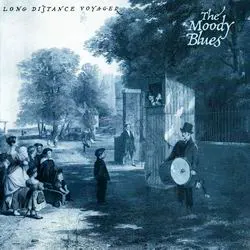 TMB LDV 81
